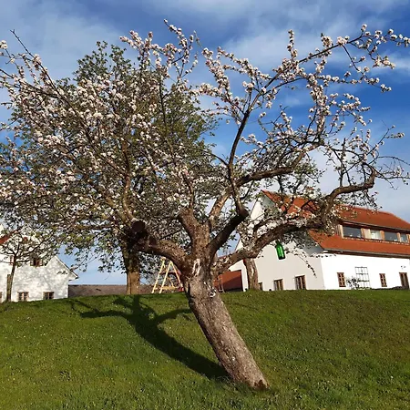 Oberguess * Leutschach